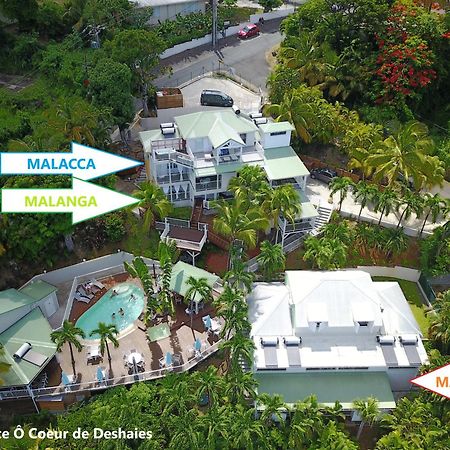 Studio Malacca, Malanga Et Majacudja - O Coeur De Deshaies Exterior foto